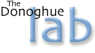 DLab Logo (Click here to go home)